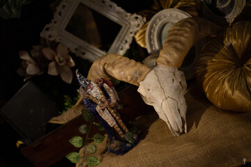 Animal skull and wizard doll with classic decoration. Halloween, witchcraft concept.