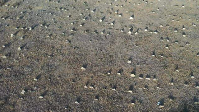 Aerial photography of an ancient Ukrainian cemetery. Cossack ancient cemetery. Aerial photography of Ukrainian landscapes. Village in Ukraine