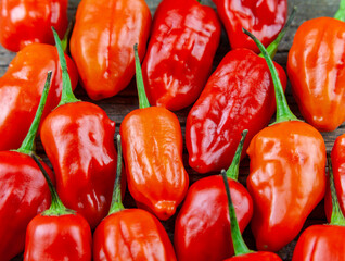 Assorted fresh and fiery hot chili peppers