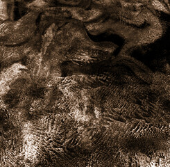 Obraz premium Simple abstract black-white watercolor, graphite background. Hand-painted texture, splashes, drops of paint, paint smears. Design for backgrounds, wallpapers, covers and packaging, wrapping paper.
