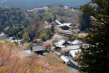 長谷寺