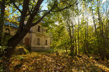 Old ruined historical house in golden autumn fall park