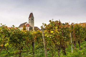 Fototapeta na wymiar Kirche in Hagnau am Bodensee mit Weinreben im Herbst, Baden-Württemberg, Deutschland