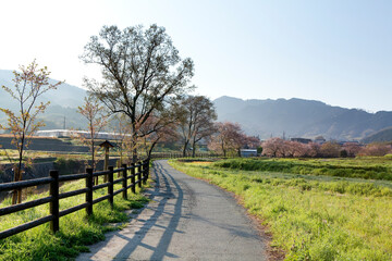 Fototapeta premium 明日香村