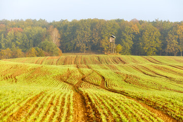 Autumn landscape with hunting pulpit on the edge of a forest and field, focus on background.