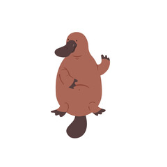 Australian platypus. Vector flat illustration animal isolated on white background