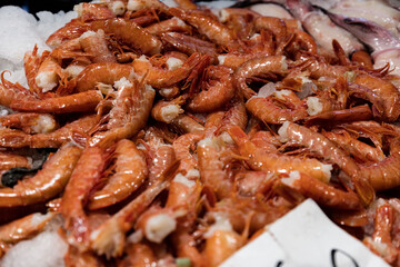 Fish market in Venice (Venezia), Italy; close up of red shrimps