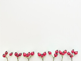 Rosehips branches on a beige background. Natural flat lay with copy space.