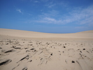 砂丘の風と雨の跡