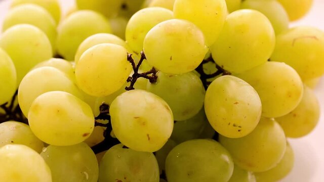 Close up de uvas no cacho