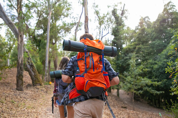 Couple travelers with backpacks walking in forest and enjoying view. Two tourists traveling along road in woods. Back view of hikers. Backpacking tourism, adventure and summer vacation concept