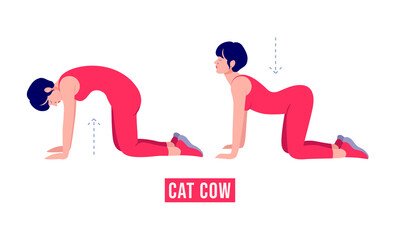 CAT COW exercise, Woman workout fitness, aerobic and exercises. Vector Illustration.