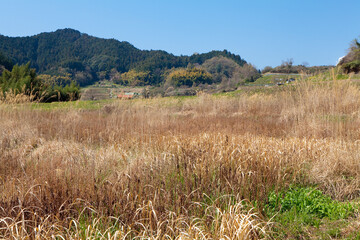 飛鳥稲淵宮殿跡