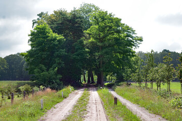 Rural unpaved road in a typical 