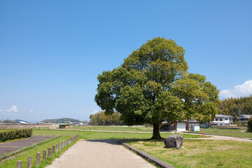飛鳥板蓋宮跡