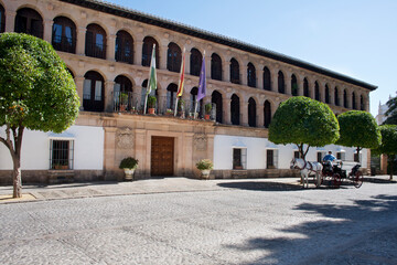 Ronda town hall and horse carriage