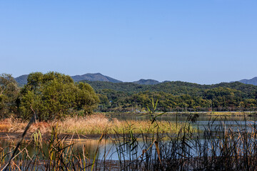 The beautiful landscape of early autumn lakeside .