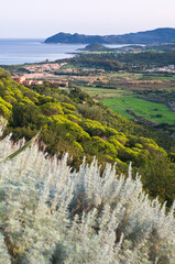 Costa Rei Landscape, Castiadas, Muravera, Cagliari district, Sardinia, Italy, Europe