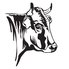 Black contour portrait of horned bull vector