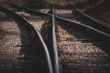 Old abandoned railway at dusk with dry grass. With light streaming through the trees. Fork in the...