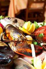 fresh fish and lobster dish
