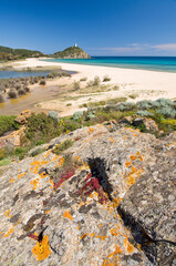 Sa Colonia beach, Chia, Domus de Maria, Cagliari district, Sardinia, Italy, Europe