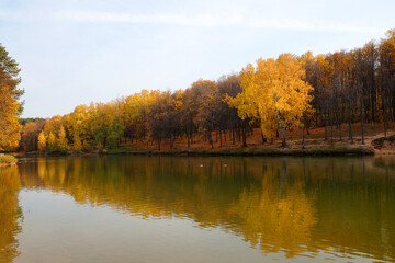 autumn forest is reflected in the river water