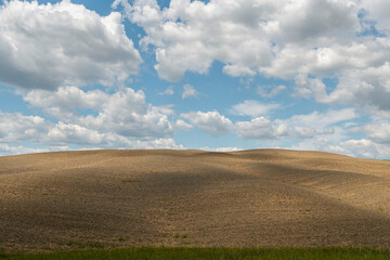 Fototapeta na wymiar Toscana -Val d'Orcia - natura- paesaggio -terreno arato