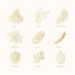Set of golden holly, coniferous, pine, fir, larch branches and cones, poinsettia. Holiday flourish elements. Vector isolated festive gold plant silhouettes for xmas designs.