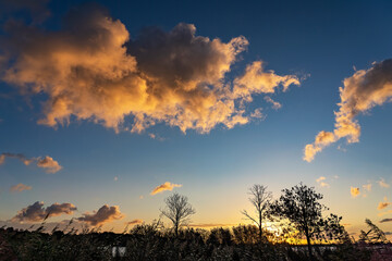 The rising sun creates beautiful colors on the clouds above lake Zoetermeerse Plas