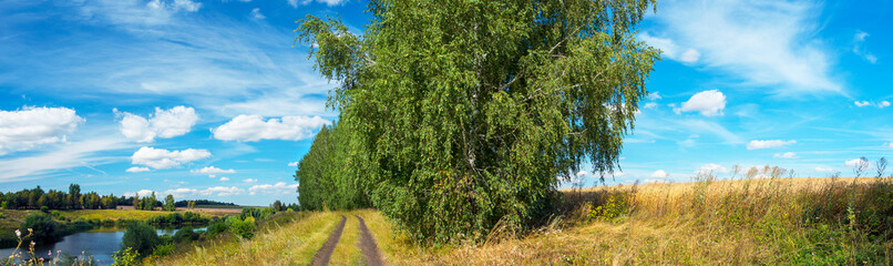 Sunny summer rural landscape with calm river, tree lined country road and golden farm fields