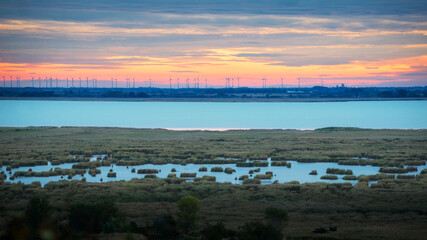 Fototapeta premium Sunrise with clouds on lake Neusiedlersee in Burgenland