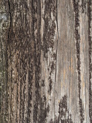 Verschiedene Hintergründe und Untergründe in verschiedenen Designs wie Holz und Beton