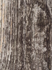 Verschiedene Hintergründe und Untergründe in verschiedenen Designs wie Holz und Beton