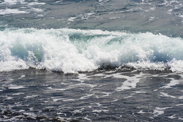 Fototapeta premium 砂浜に打ち寄せる太平洋の波頭