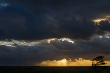 Landscape sunrise Schiermonnikoog, Netherlands