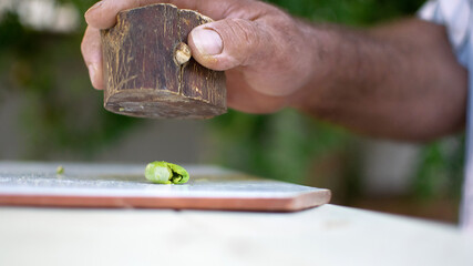 Green olives traditional Spanish preparation process crushing the olive and pushing them to a bucket at the ground where they are dressed with fennel and vinegar and water.