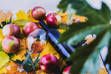 Red and ripe apples in a wicker basket with maple leaves.A bottle of wine and a thin-stemmed glass.
