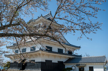 桜のよく似合う日本の城