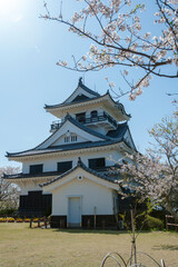 逆光の桜と天守閣