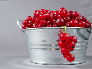 A metal basin filled with red currants