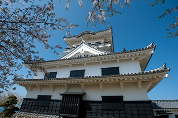 桜のよく似合う日本の城