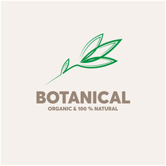 leaf illustration icon vector. botanical organic logo vector