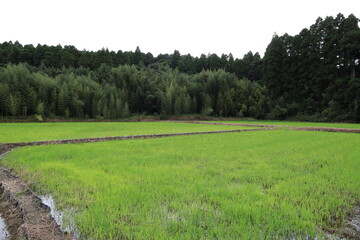 田舎町