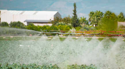 Fumigation of tractor in lettuce field. Spraying insecticide, insecticides, pesticides in...