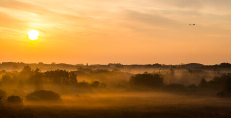 Landscape Berkheide dunes in Katwijk, Netherlands