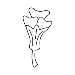 beautiful rose flower garden line style icon