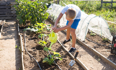 Little boy digs up beds with a scoop and watering from a watering canGetting to know the neighbors at the country houses in village. High quality photo