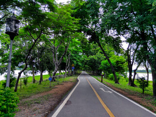 road in the forest
