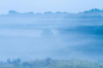 Landscape Berkheide dunes in Katwijk, Netherlands